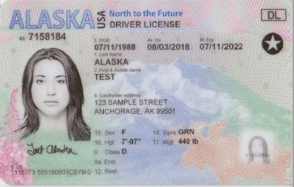 Alaska drivers license