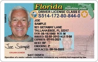 Florida drivers license