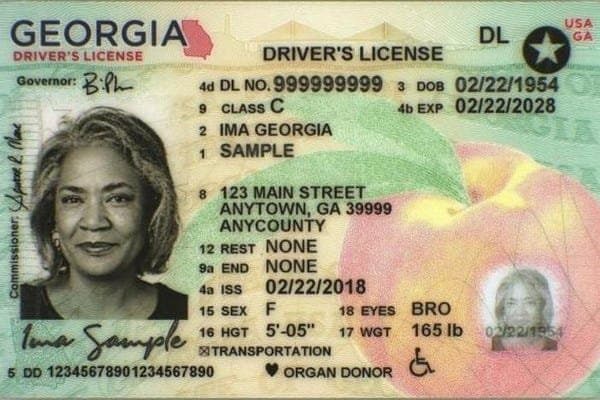 Georgia drivers license