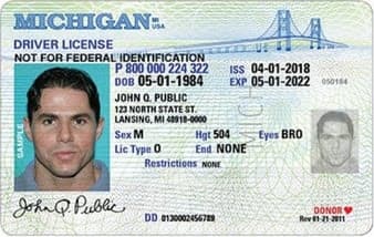 Michigan drivers license