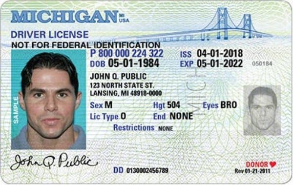 Michigan drivers license