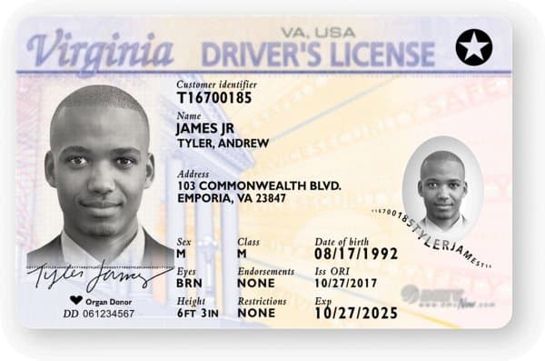 Virginia drivers license
